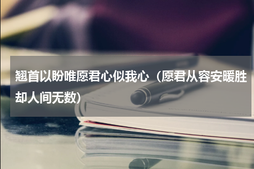 翘首以盼唯愿君心似我心（愿君从容安暖胜却人间无数）