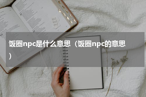 饭圈npc是什么意思（饭圈npc的意思）
