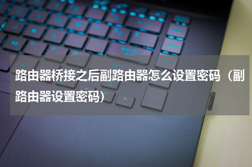 路由器桥接之后副路由器怎么设置密码（副路由器设置密码）
