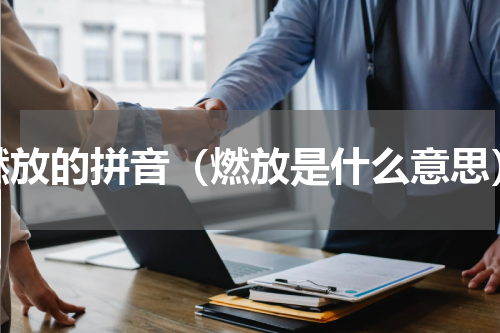 燃放的拼音（燃放是什么意思）