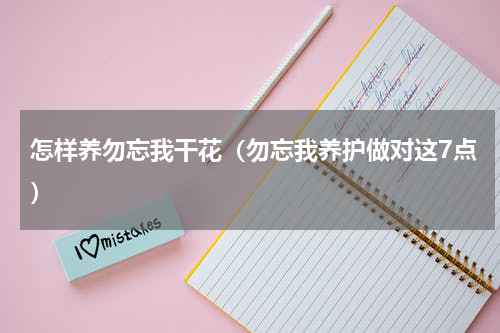 怎样养勿忘我干花（勿忘我养护做对这7点）