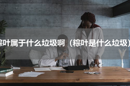 粽叶属于什么垃圾啊（粽叶是什么垃圾）