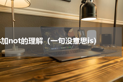 is加not的理解（一句没意思is）