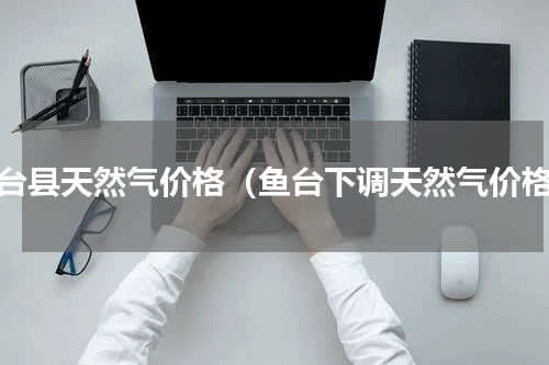 鱼台县天然气价格（鱼台下调天然气价格）