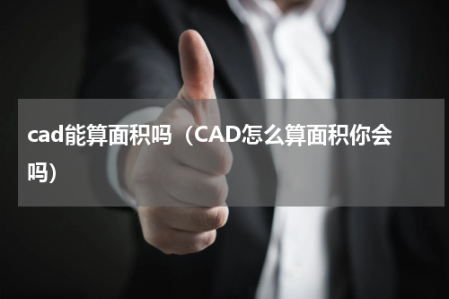 cad能算面积吗（CAD怎么算面积你会吗）