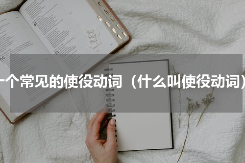 十个常见的使役动词（什么叫使役动词）