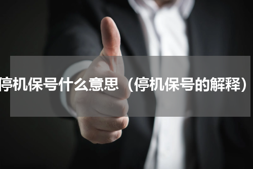 停机保号什么意思（停机保号的解释）