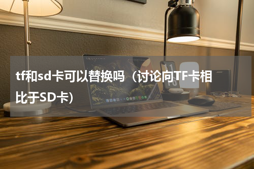 tf和sd卡可以替换吗（讨论向TF卡相比于SD卡）