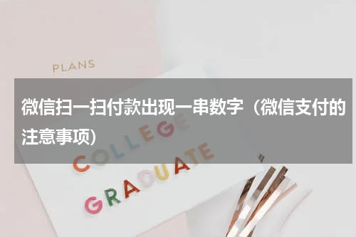 微信扫一扫付款出现一串数字（微信支付的注意事项）