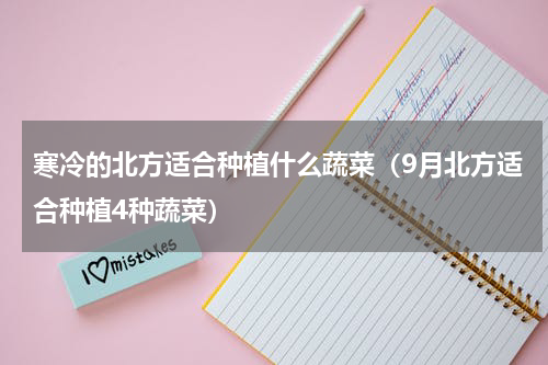 寒冷的北方适合种植什么蔬菜（9月北方适合种植4种蔬菜）