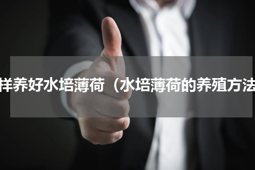 怎样养好水培薄荷（水培薄荷的养殖方法）