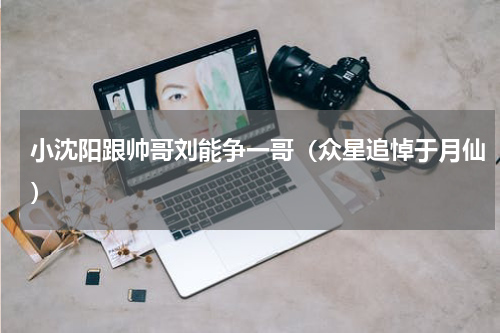 小沈阳跟帅哥刘能争一哥（众星追悼于月仙）