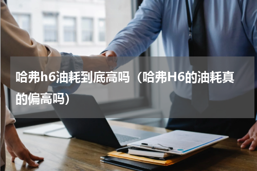 哈弗h6油耗到底高吗（哈弗H6的油耗真的偏高吗）