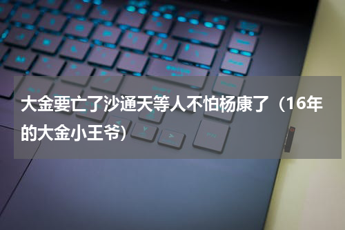 大金要亡了沙通天等人不怕杨康了（16年的大金小王爷）