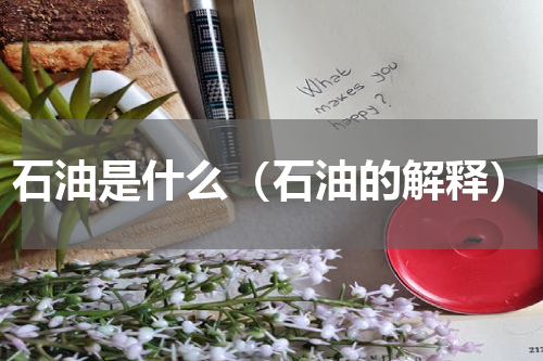 石油是什么（石油的解释）