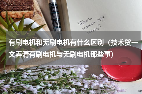 有刷电机和无刷电机有什么区别（技术货一文弄清有刷电机与无刷电机那些事）