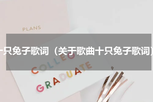 十只兔子歌词（关于歌曲十只兔子歌词）