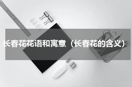 长春花花语和寓意（长春花的含义）