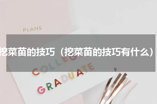 挖菜苗的技巧（挖菜苗的技巧有什么）