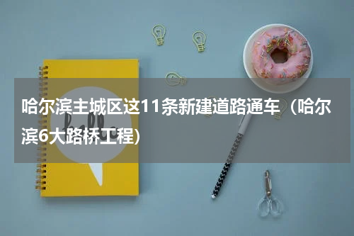哈尔滨主城区这11条新建道路通车（哈尔滨6大路桥工程）