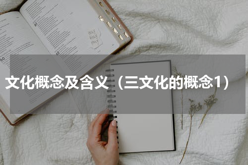 文化概念及含义（三文化的概念1）