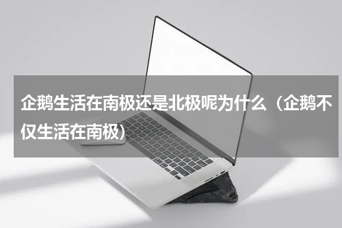 企鹅生活在南极还是北极呢为什么（企鹅不仅生活在南极）