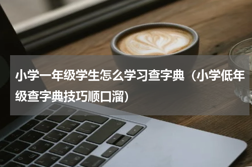 小学一年级学生怎么学习查字典（小学低年级查字典技巧顺口溜）