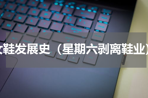 女鞋发展史（星期六剥离鞋业）