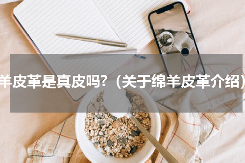 绵羊皮革是真皮吗?（关于绵羊皮革介绍）
