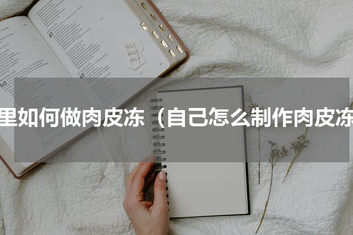 家里如何做肉皮冻（自己怎么制作肉皮冻）