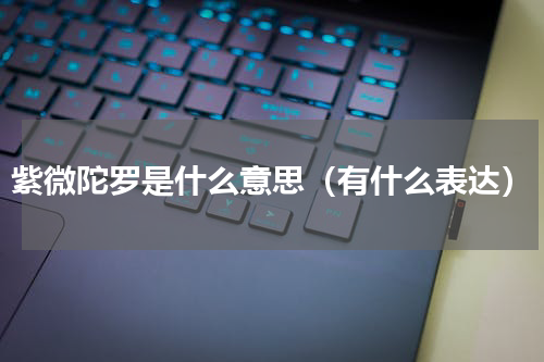 紫微陀罗是什么意思（有什么表达）