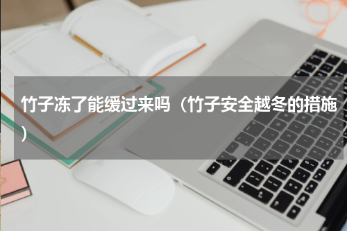 竹子冻了能缓过来吗（竹子安全越冬的措施）