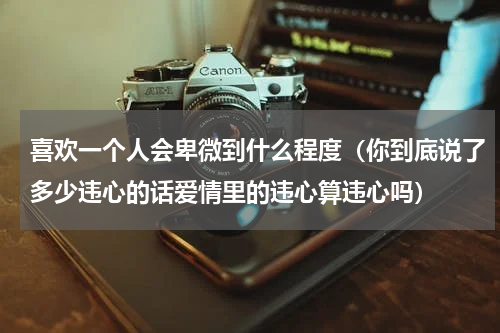 喜欢一个人会卑微到什么程度（你到底说了多少违心的话爱情里的违心算违心吗）