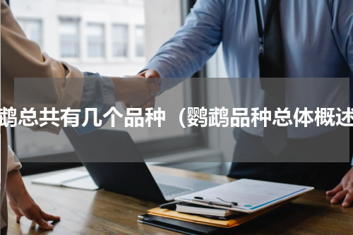 鹦鹉总共有几个品种（鹦鹉品种总体概述）