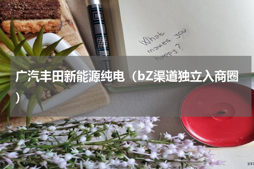 广汽丰田新能源纯电（bZ渠道独立入商圈）