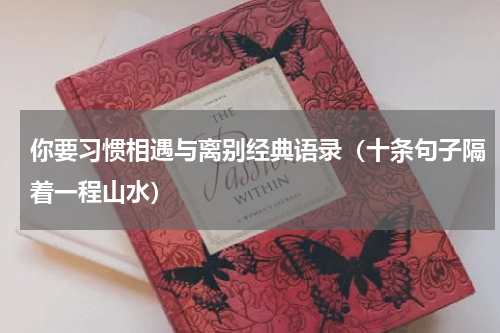 你要习惯相遇与离别经典语录（十条句子隔着一程山水）