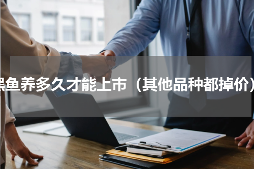 黑鱼养多久才能上市（其他品种都掉价）