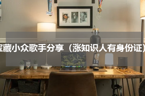 宝藏小众歌手分享（涨知识人有身份证）