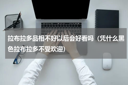 拉布拉多品相不好以后会好看吗（凭什么黑色拉布拉多不受欢迎）