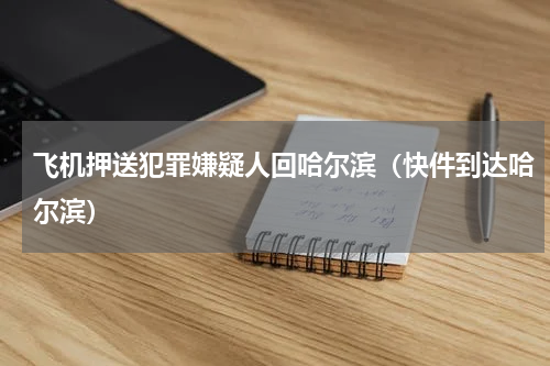 飞机押送犯罪嫌疑人回哈尔滨（快件到达哈尔滨）