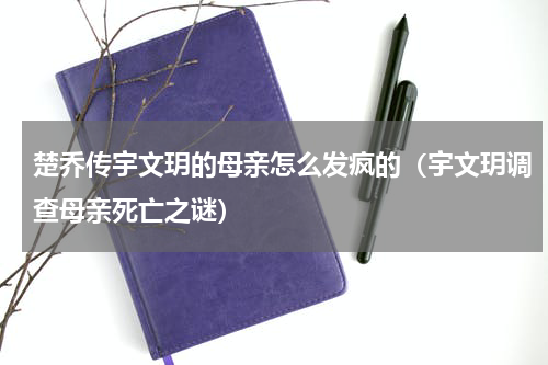 楚乔传宇文玥的母亲怎么发疯的（宇文玥调查母亲死亡之谜）