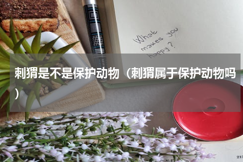 刺猬是不是保护动物（刺猬属于保护动物吗）