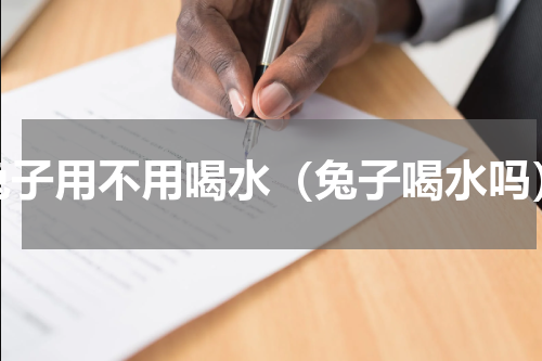 兔子用不用喝水（兔子喝水吗）