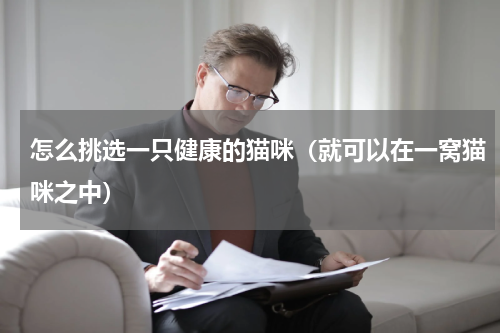 怎么挑选一只健康的猫咪（就可以在一窝猫咪之中）