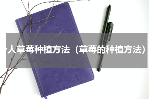 个人草莓种植方法（草莓的种植方法）