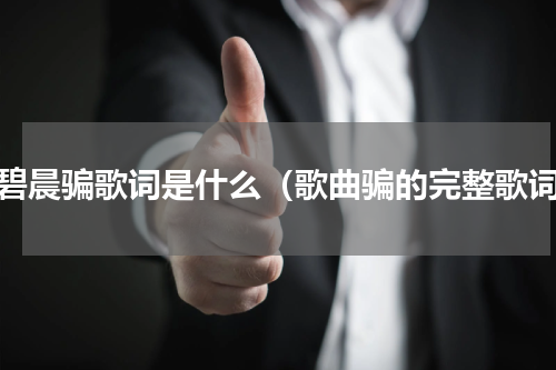 张碧晨骗歌词是什么（歌曲骗的完整歌词）