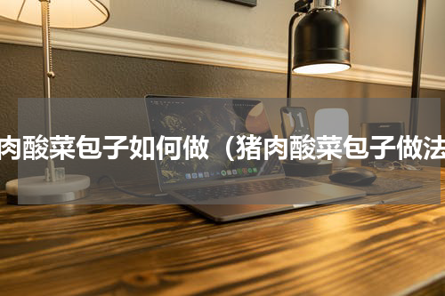 猪肉酸菜包子如何做（猪肉酸菜包子做法）