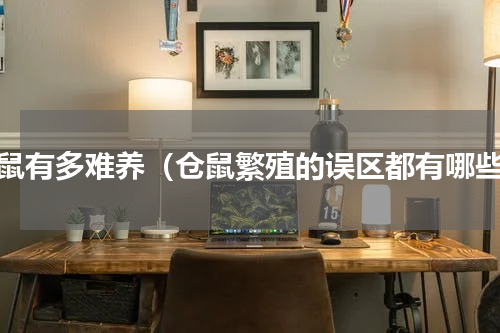仓鼠有多难养（仓鼠繁殖的误区都有哪些）