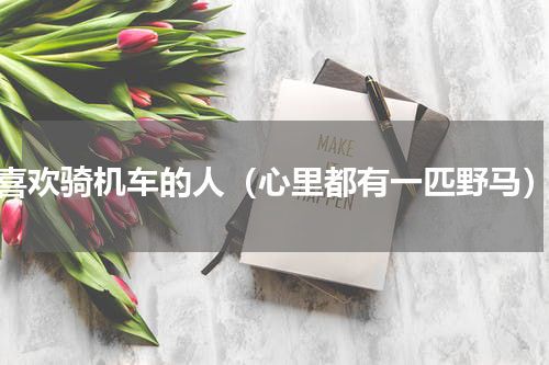 喜欢骑机车的人（心里都有一匹野马）