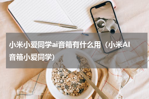小米小爱同学ai音箱有什么用（小米AI音箱小爱同学）
